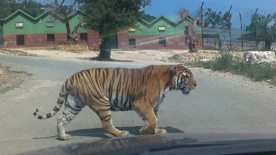 Zoosafari Fasanolandia